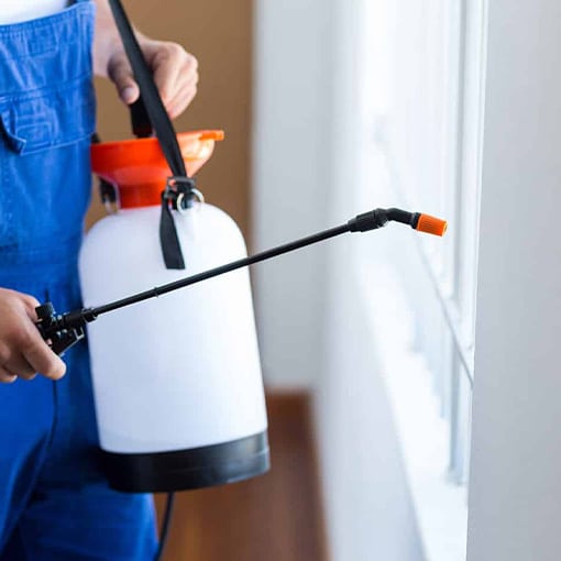 Expert Pest Control